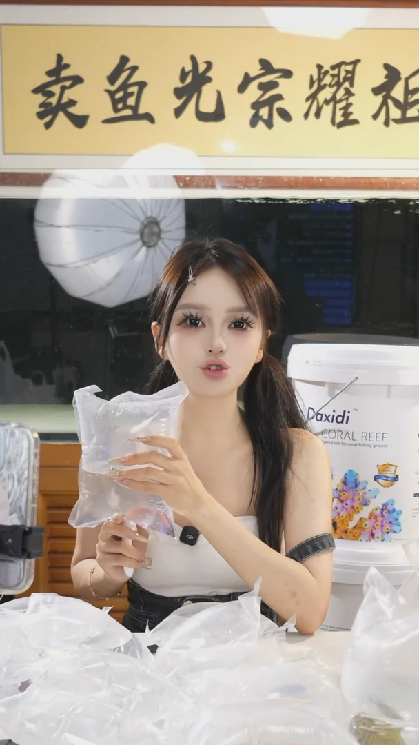 海水海水观赏鱼  断纹龙