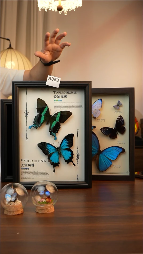 爱神凤蝶天堂凤蝶组合款(A4欧式黑框)A353