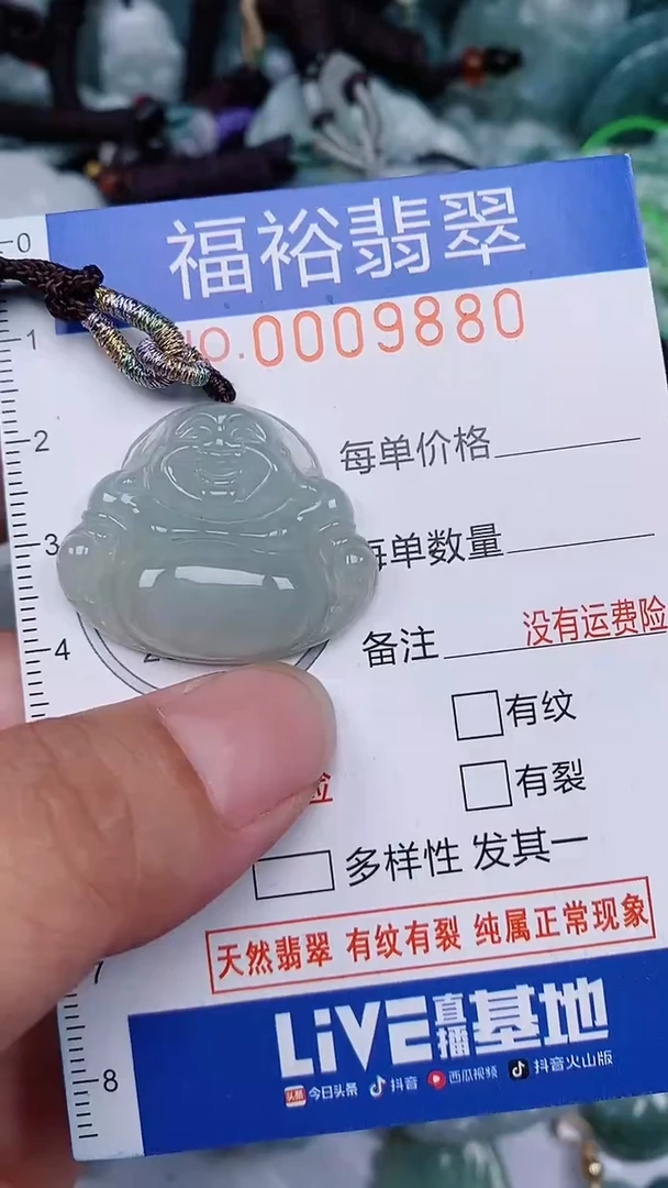 翡翠未镶嵌颈饰...0009880