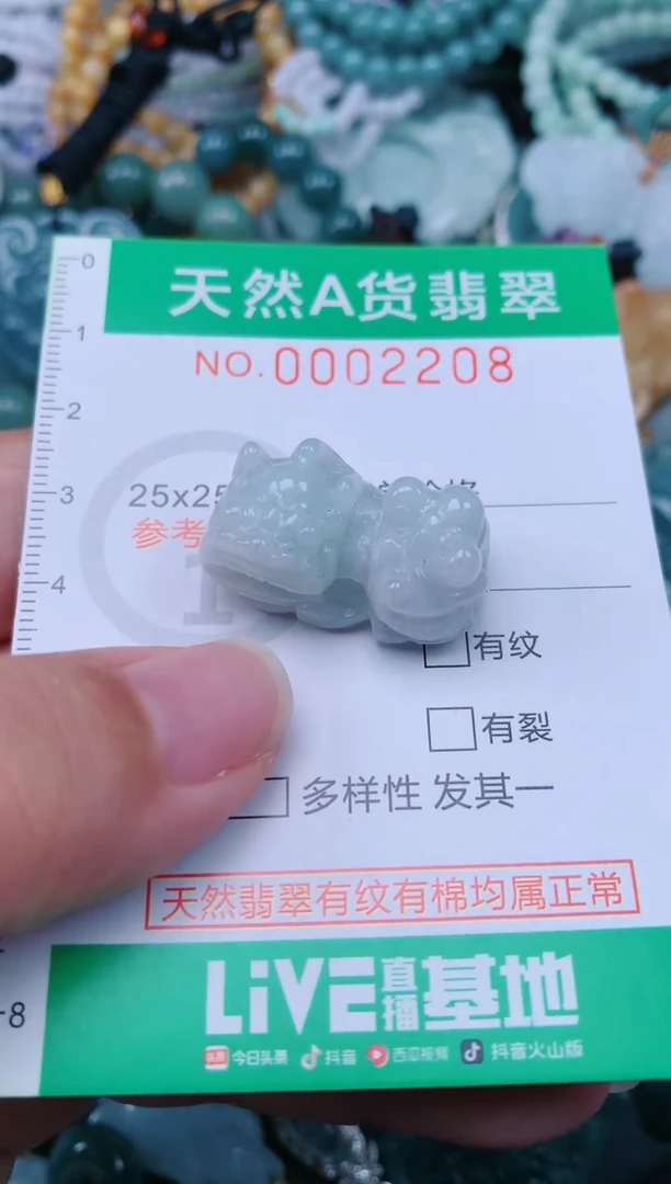 颈饰未镶嵌翡翠.0002208