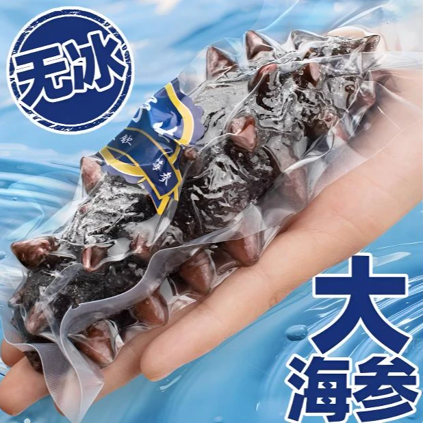 【超值装】海参即食大连海参辽参刺参海生海叁鲜食海参非淡干货