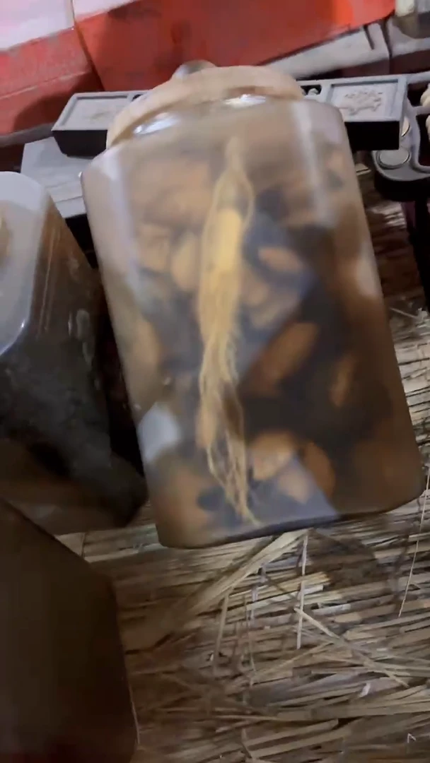 紫砂紫砂紫砂紫砂