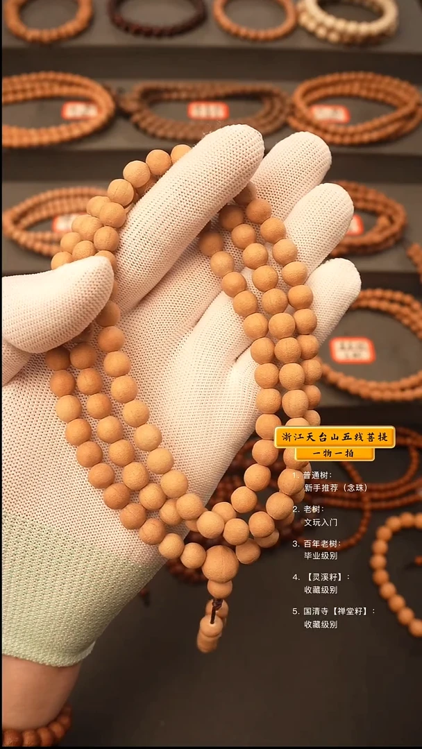 吊坠五线菩提?****爸y脖挂