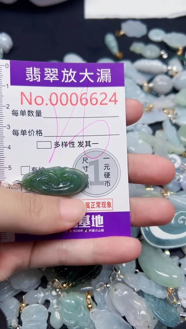 颈饰未镶嵌翡翠6624