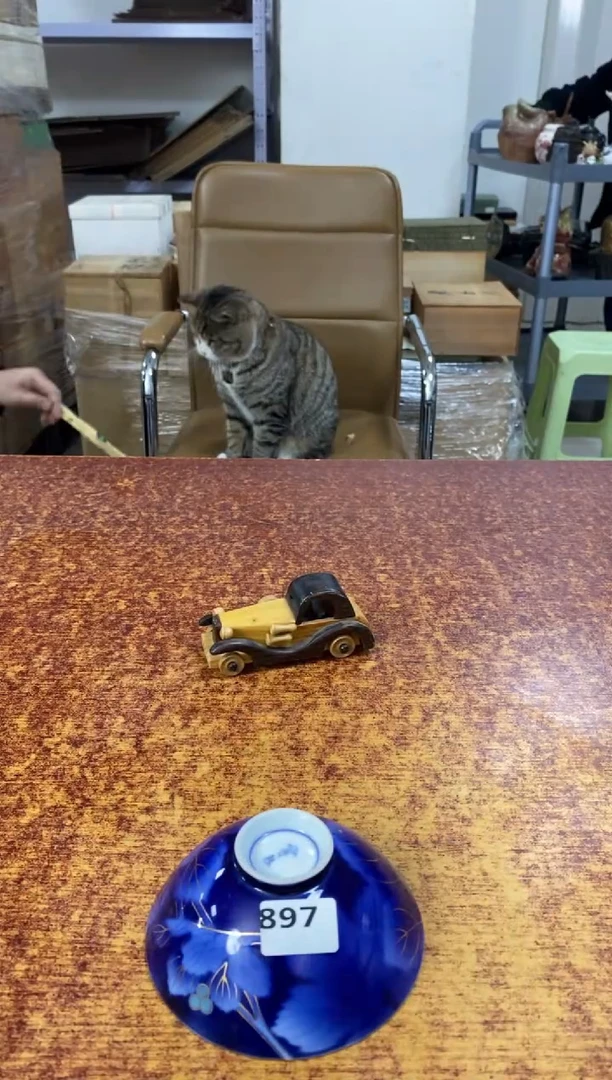 瓷片897小林轩欢迎您