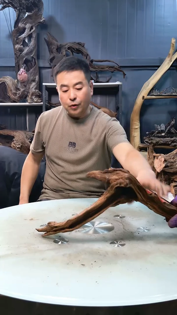 573清香阁清香阁清香阁