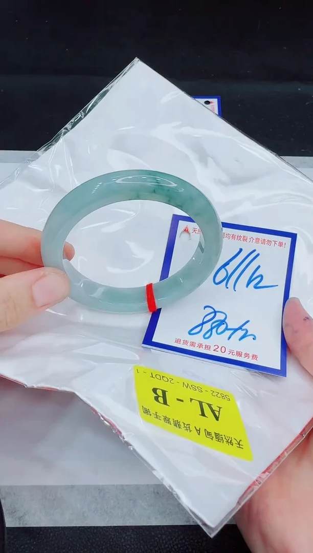 未镶嵌手镯翡翠11111111