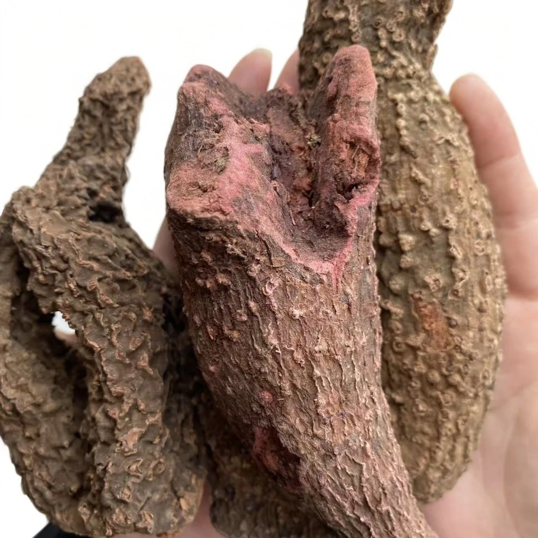 阿旺推荐   开加博古赤根滋补草本