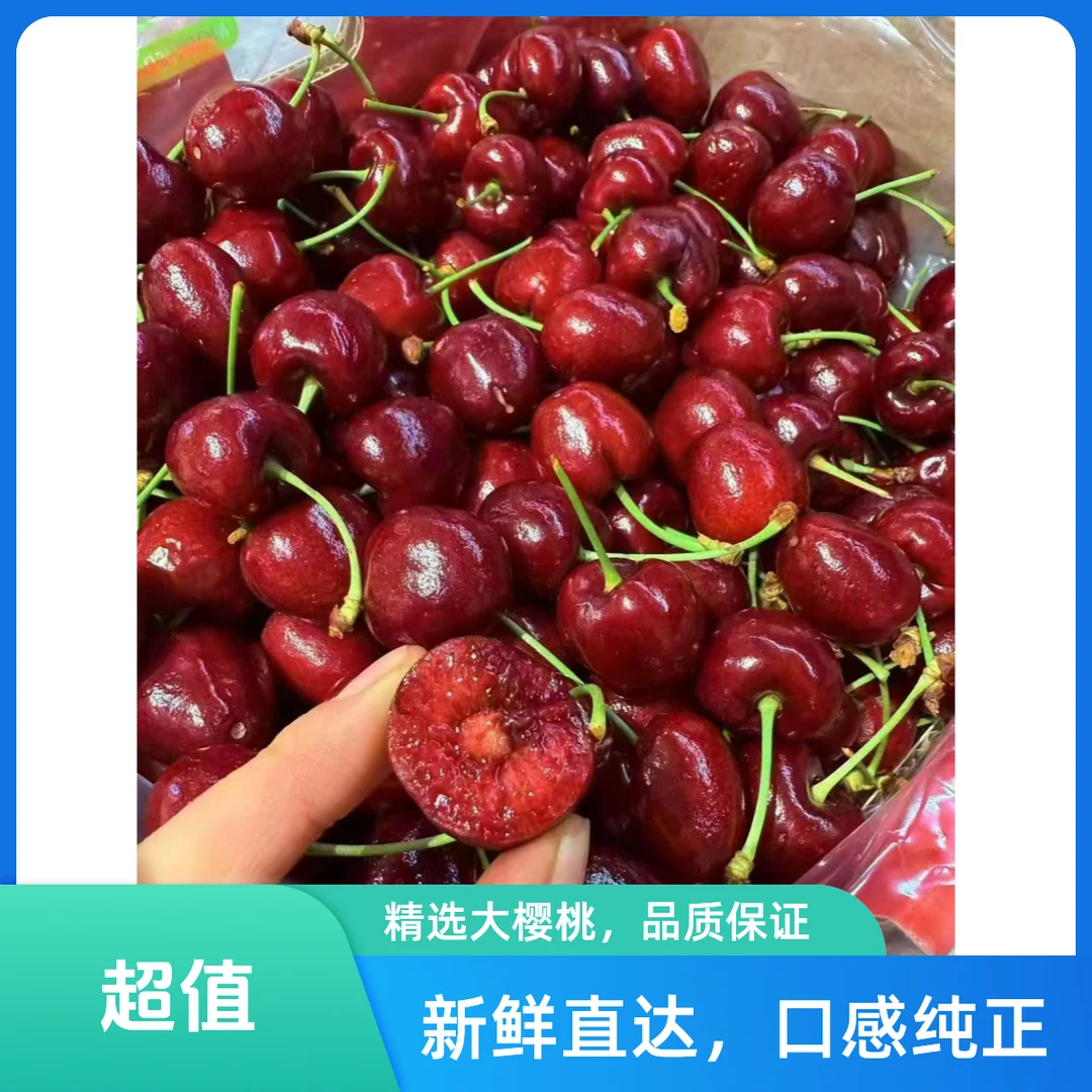 智利进口车厘子XL限量购尝鲜福利（500g） 内附果径卡