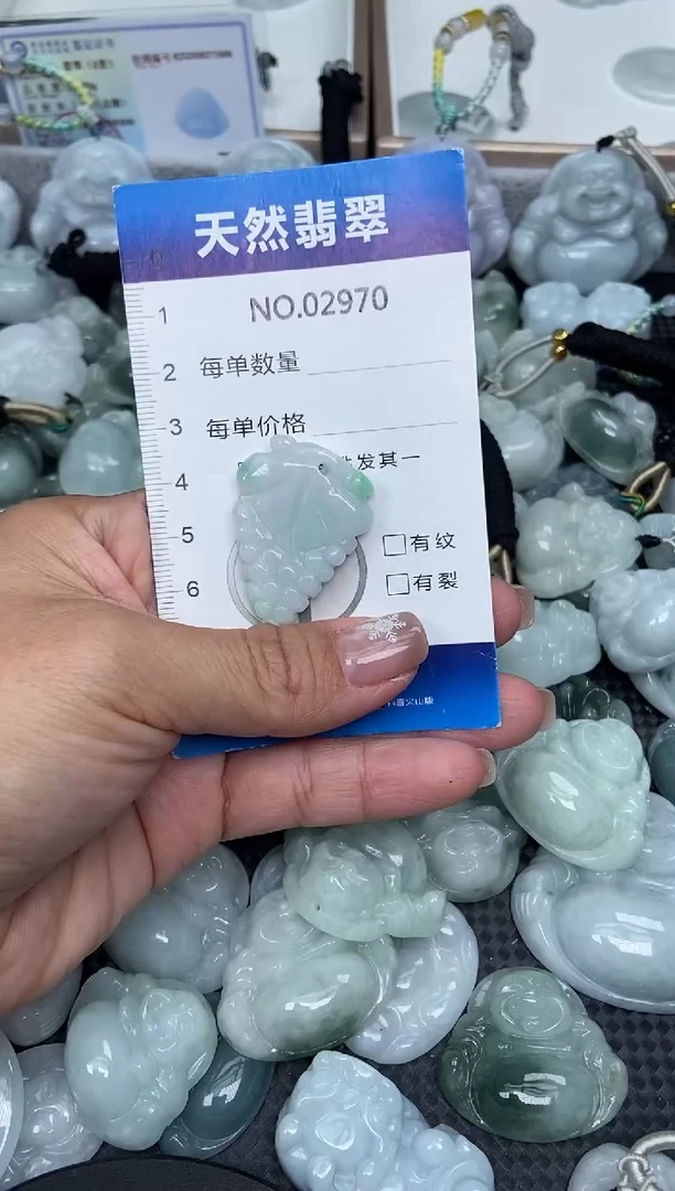 颈饰未镶嵌翡翠纯天然A货翡翠2970