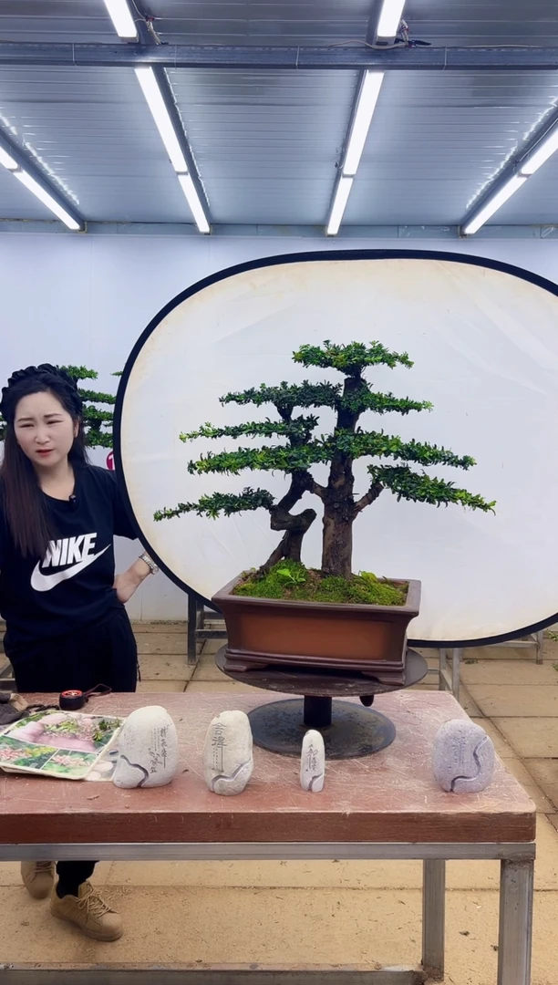无花朵一物一拍，所见即所得
