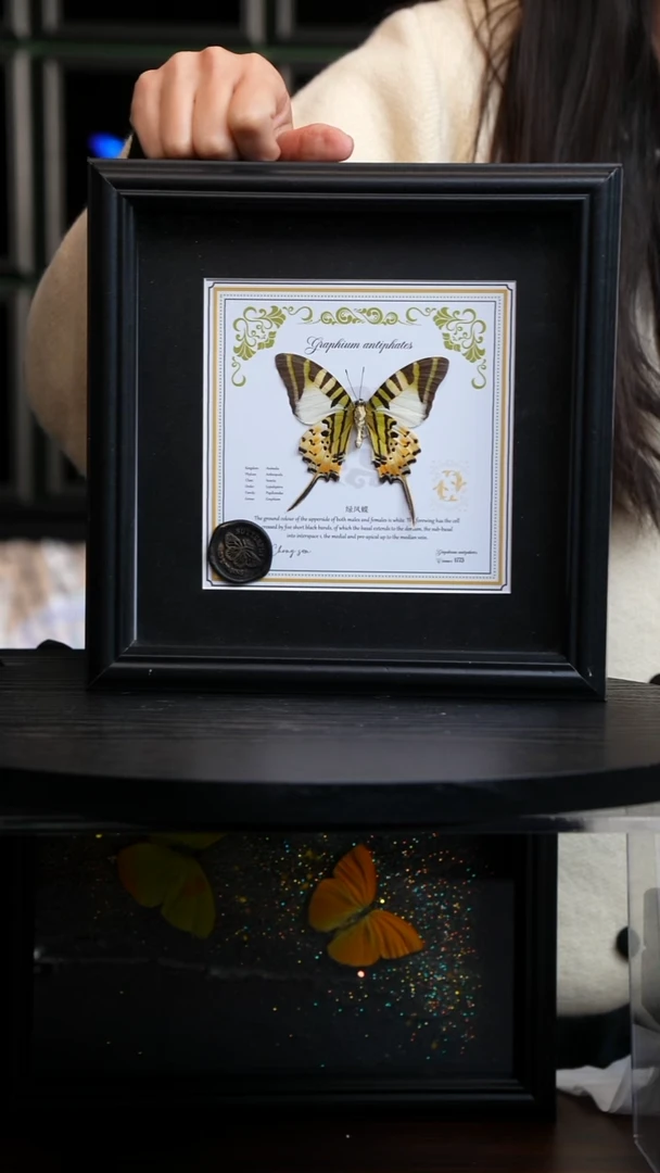 五指发财蝶双鱼款8寸欧式方框