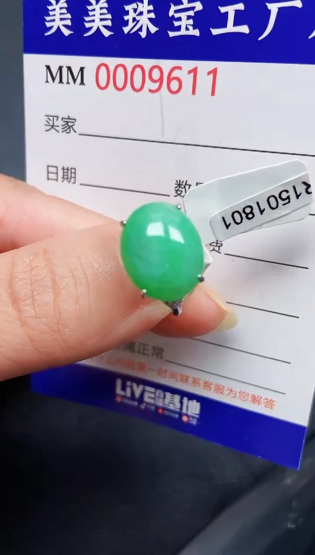 翡翠银S925镶嵌颈饰9611