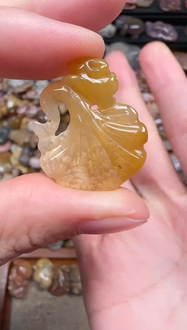 颈饰未镶嵌硅化珊瑚（珊瑚玉）814
