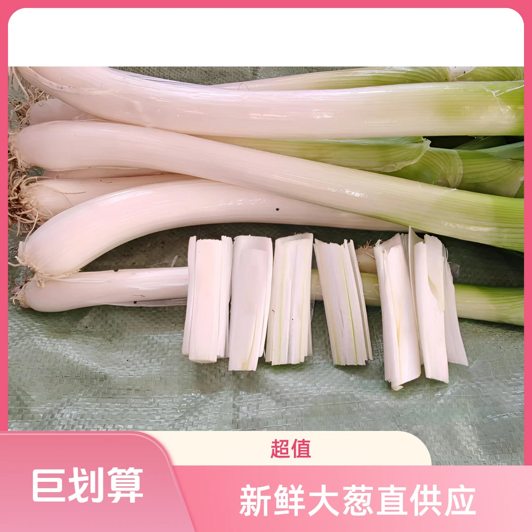 东北黑土地铁杆大葱5斤