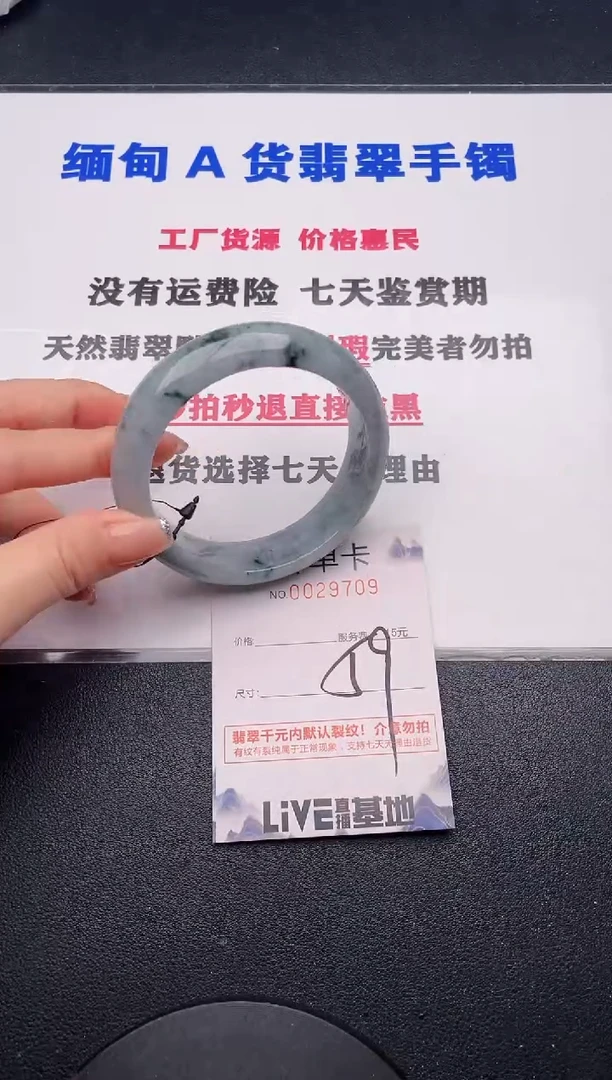 未镶嵌手镯翡翠09