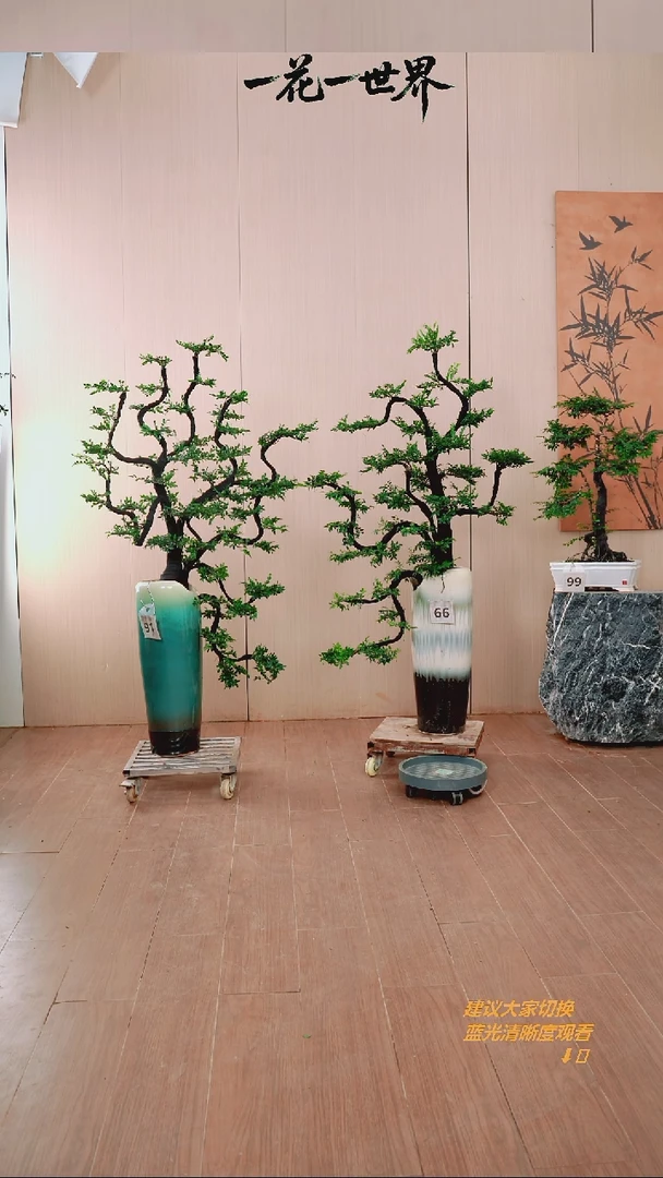 无花朵老*【闪购链接】66号链接