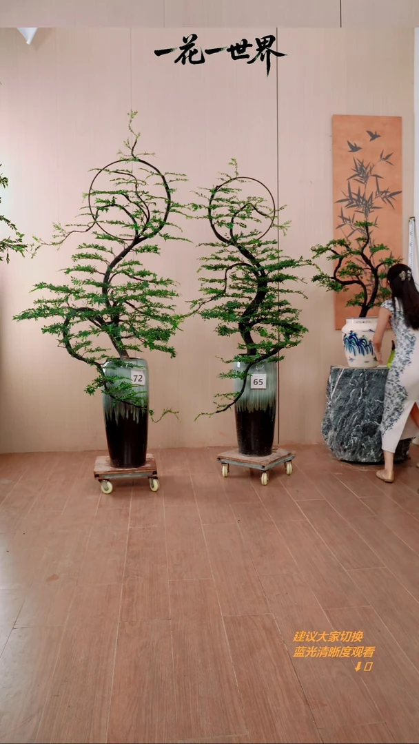 无花朵m****d【闪购链接】一对链接