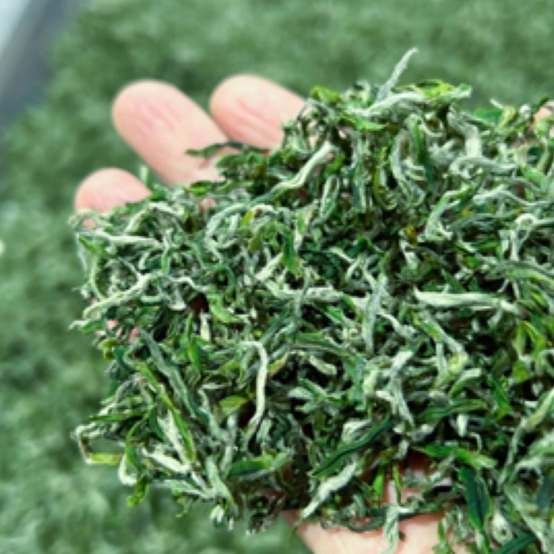 恩施硒茶明前毛尖特价款