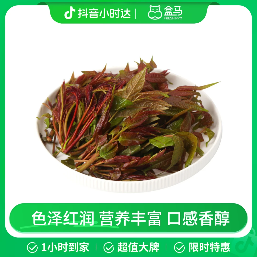 高原香椿 100g