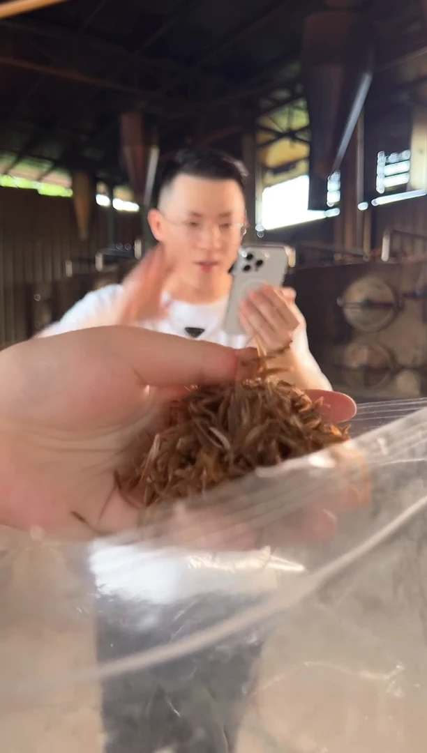 沉香碎屑沉香海南树心勾丝0.5克 多样性发货