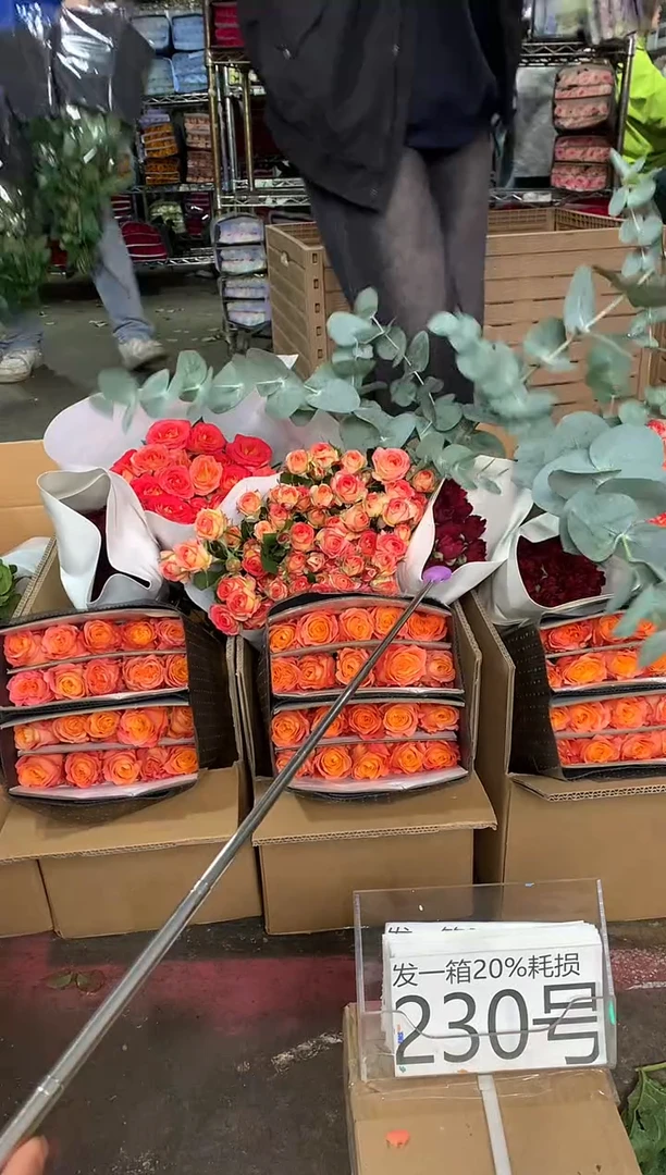 230号♥含20%耗损发一箱