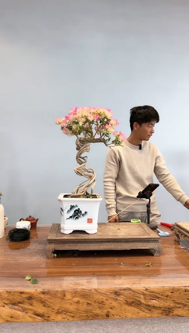 【闪购商品】AA912