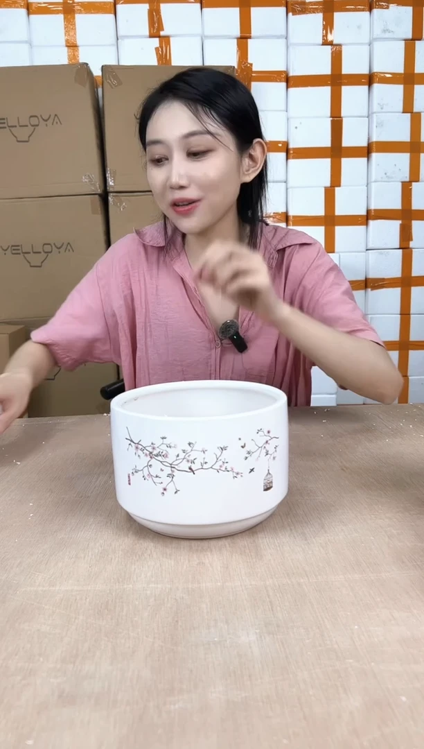 蝴蝶兰鸟笼白色小号18x12