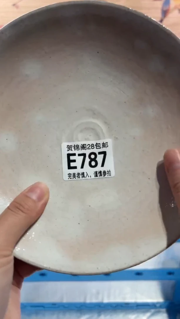 【闪购商品】瓷片当天满28米包邮E787