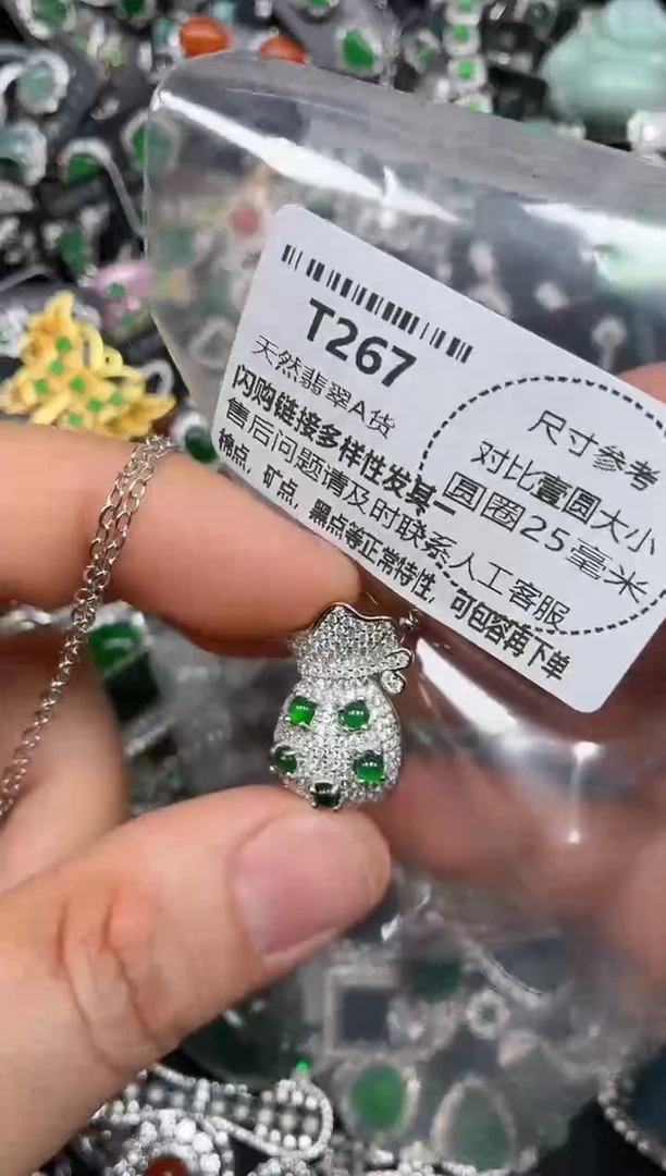 颈饰未镶嵌翡翠T267项链