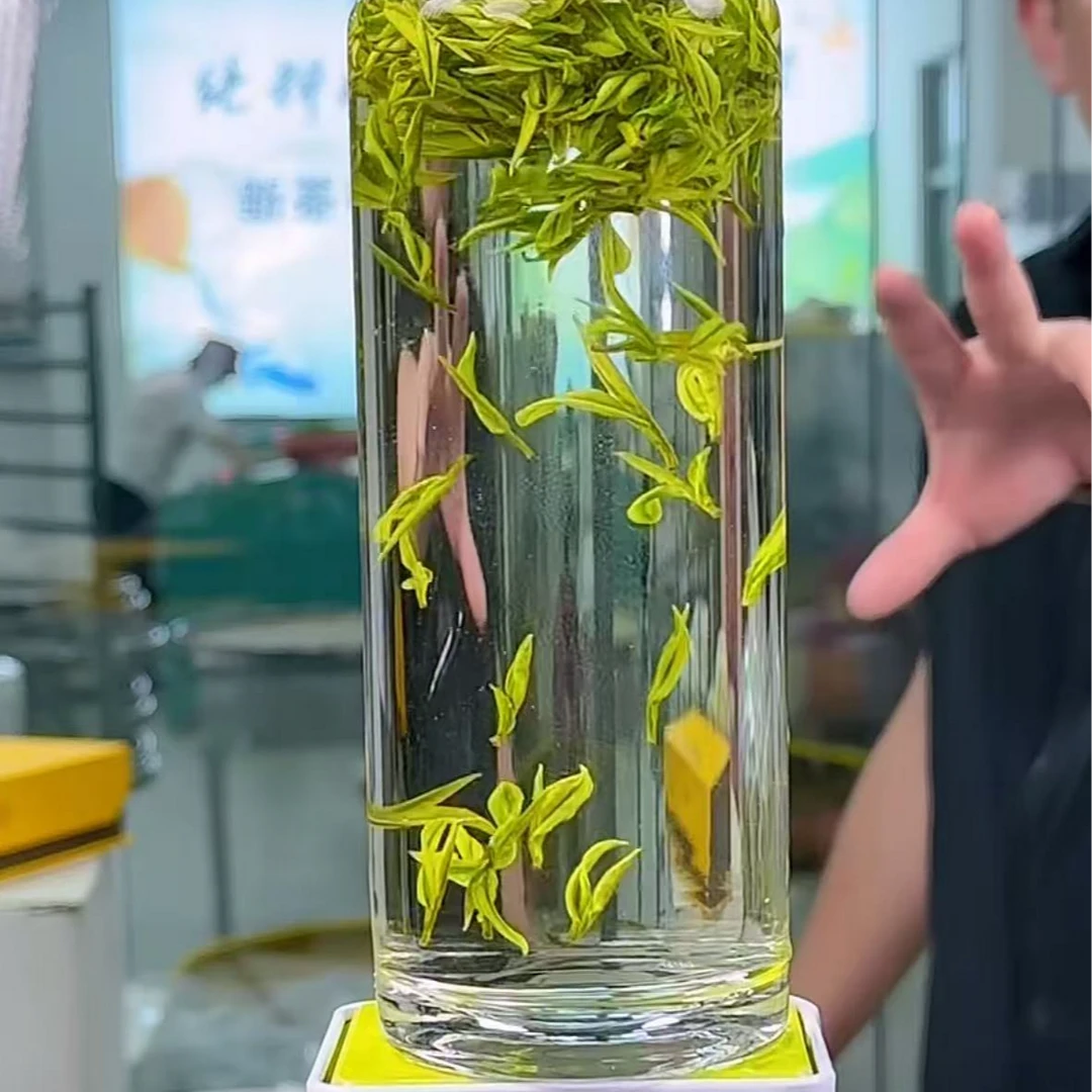 2025年新茶【开山小芽7】2025新茶安吉原产地白茶