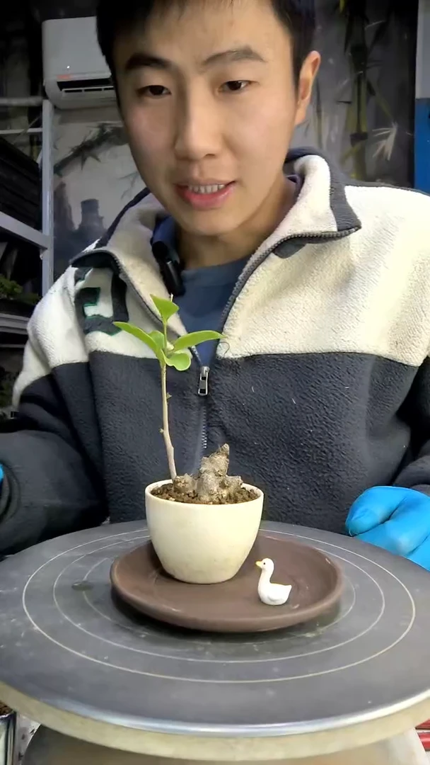 S****3中青园艺一物一拍128