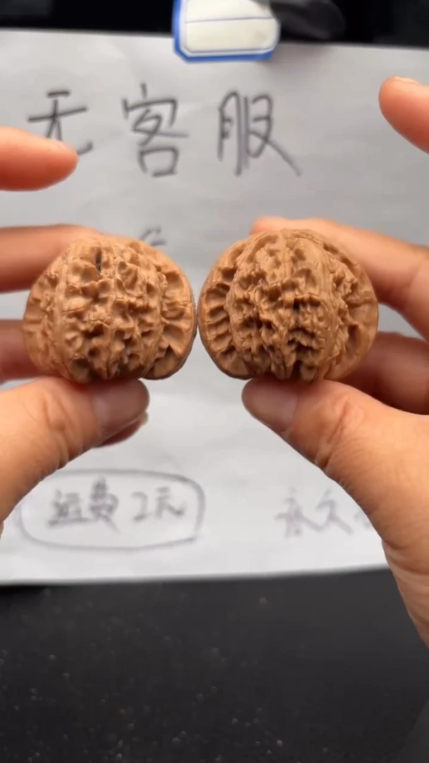 把件文玩核桃526白狮子