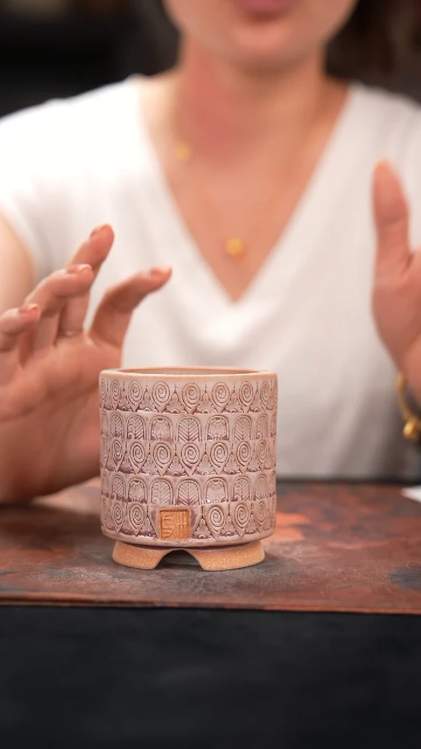 7-31-154花盆口径6