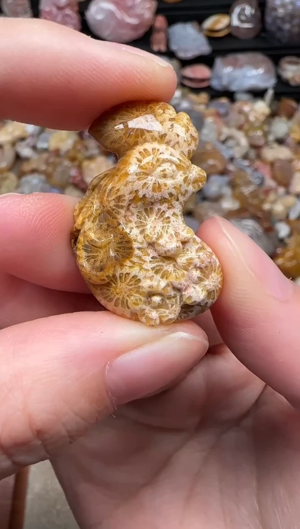 颈饰未镶嵌硅化珊瑚（珊瑚玉）066