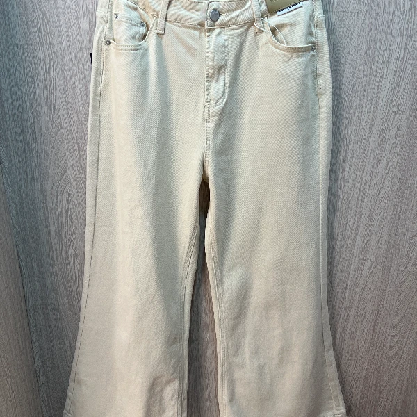 胖向向春装新款58881简约大方款高腰显瘦百搭休闲微喇甩甩裤