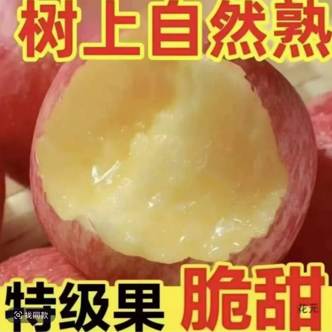 新鲜现摘现发红富士苹果