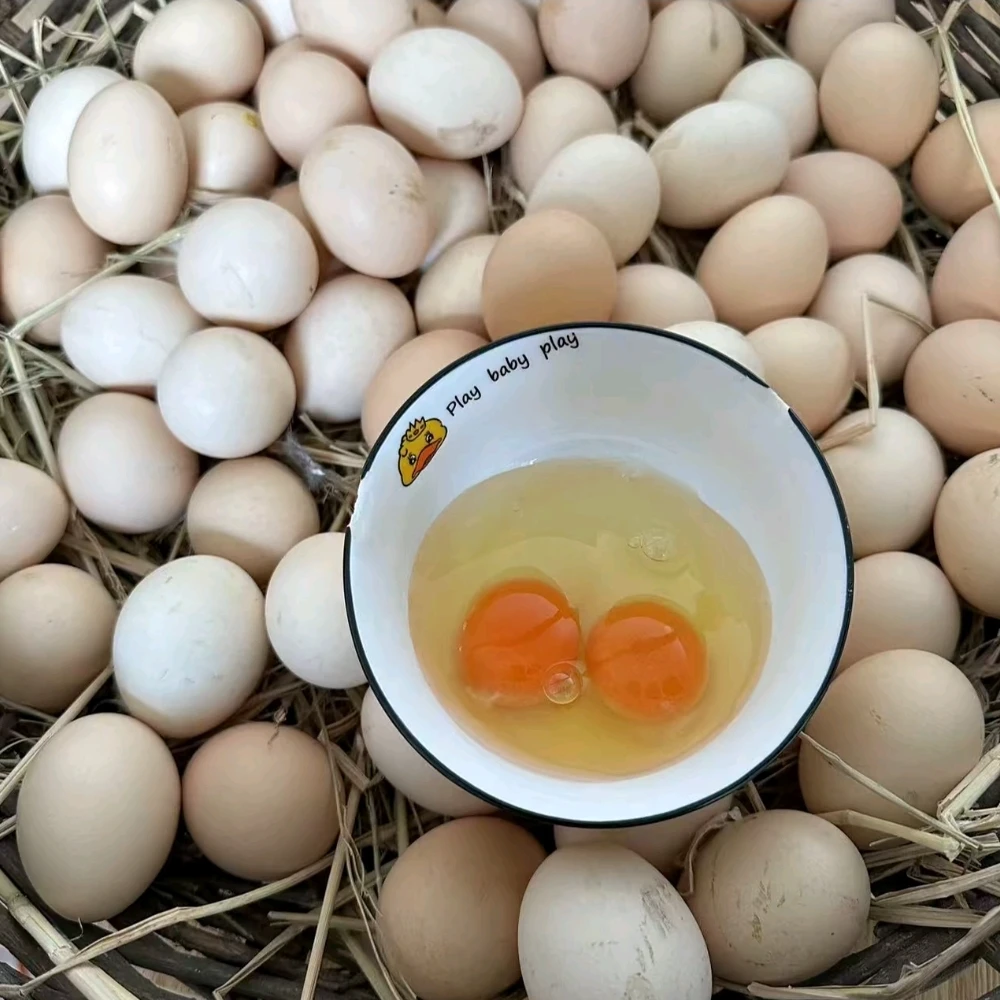 新鲜土鸡蛋 50枚（45~50克左右）从蛋托中取出存放