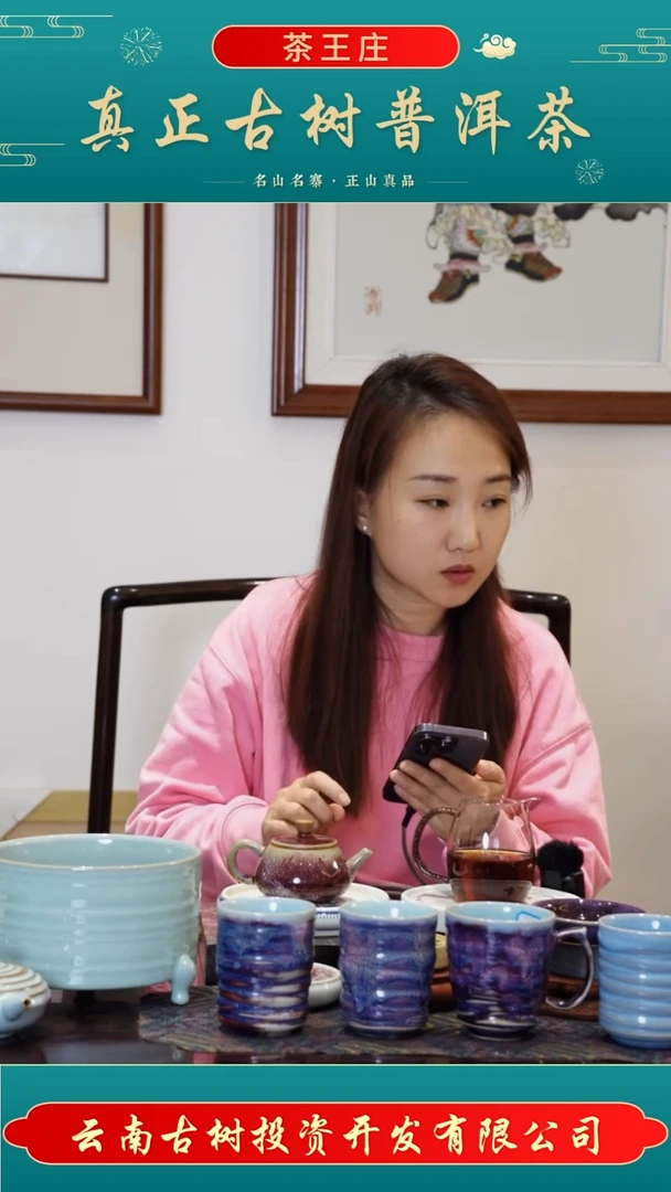 2005年麻黑5饼（357克/饼）