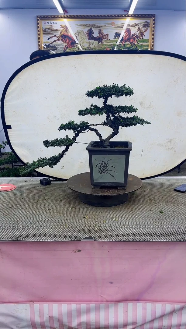 无花朵一物一拍，所见即所得