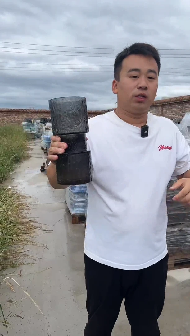 花瓶客厅餐桌插花装饰好物