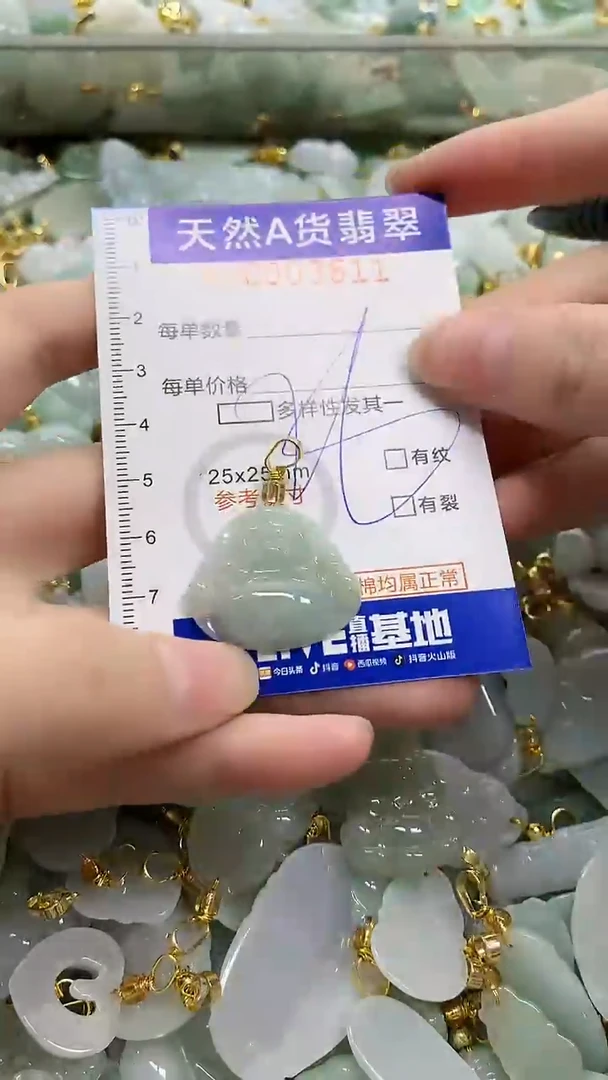 颈饰未镶嵌翡翠天然A货翡翠