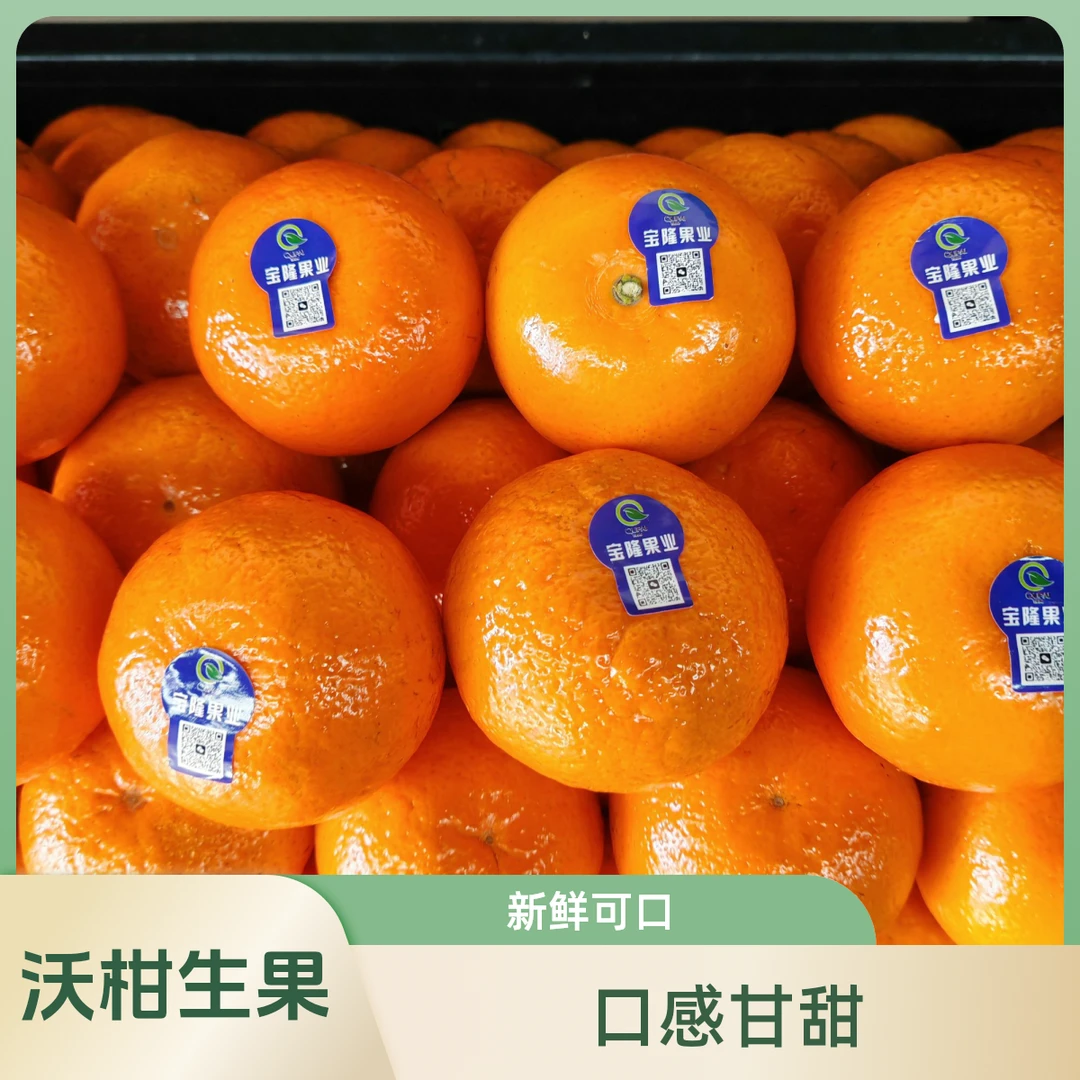 四川宝隆沃柑5斤（生鲜产品不支持退换，介意慎拍）无核沃柑四川省眉山市