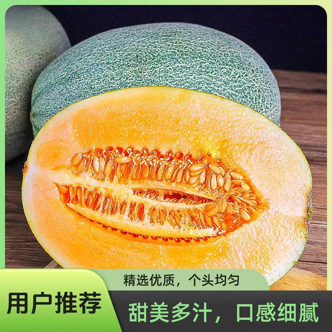 海南哈密瓜香甜可口应季现摘薄皮网纹甜蜜瓜4