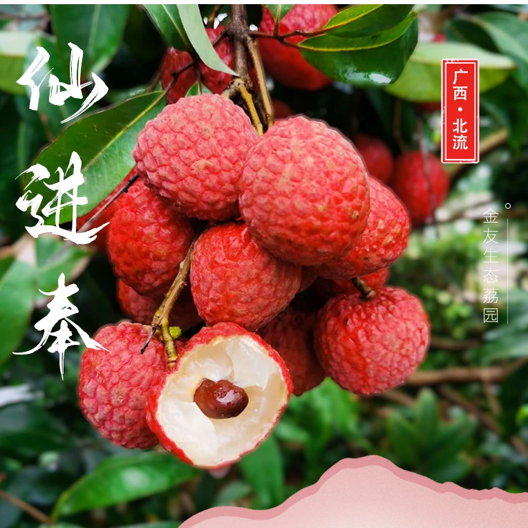 非两广链接仙进奉荔枝【京东冷链空运】源头现摘现发