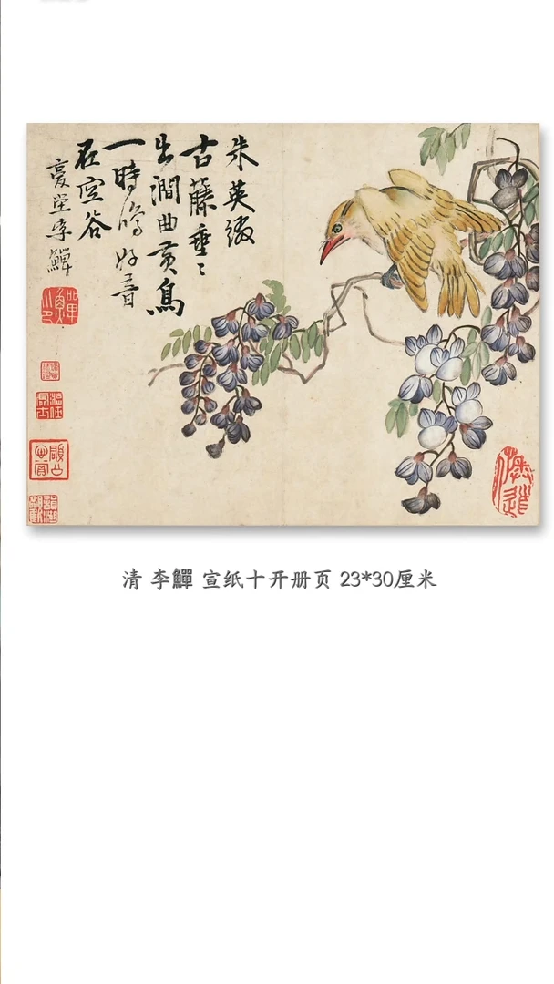 版画直播间福利版画 宣纸版画