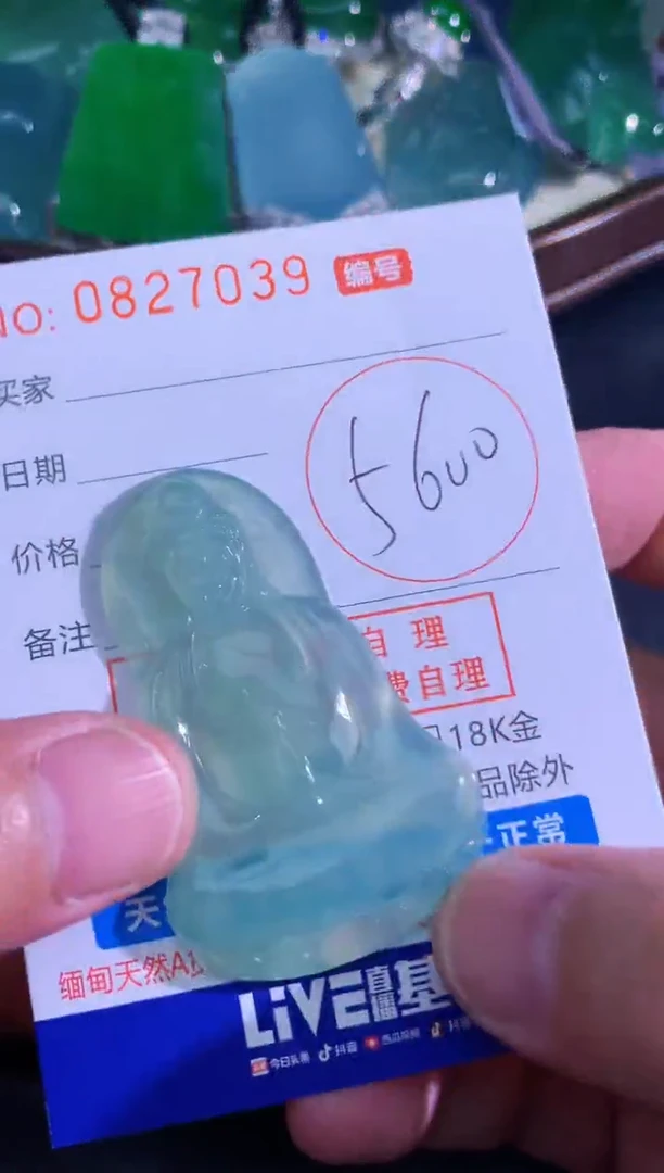 颈饰未镶嵌翡翠天然A货翡翠