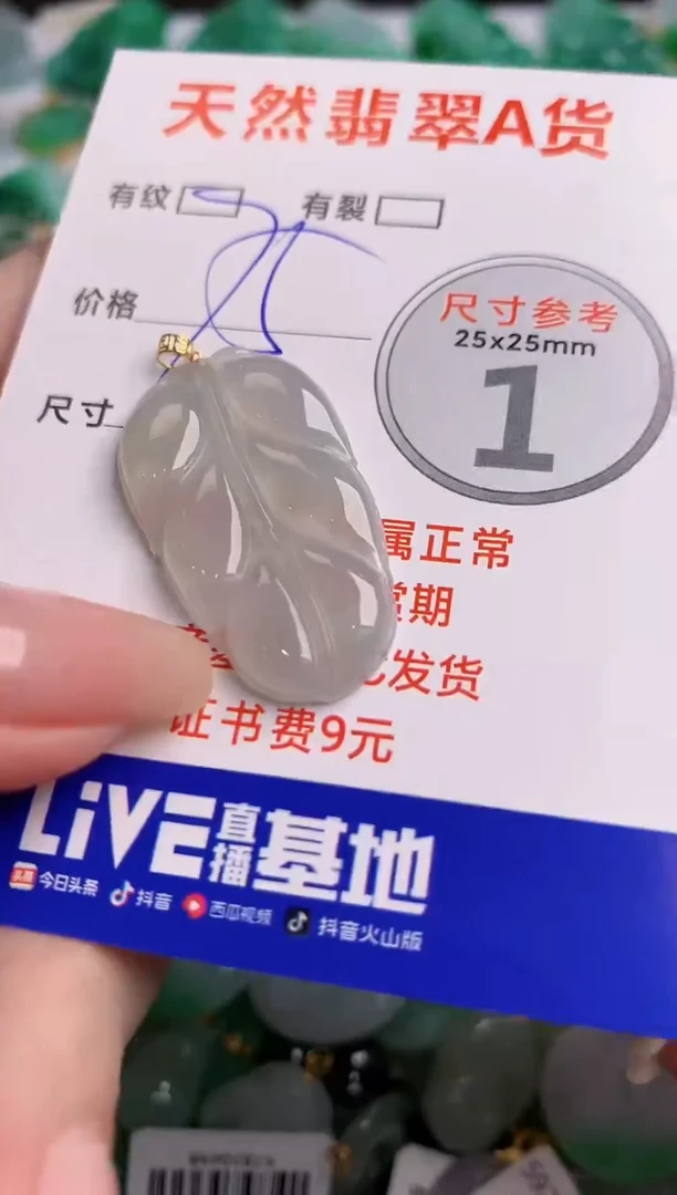 翡翠18K金镶嵌颈饰24002267