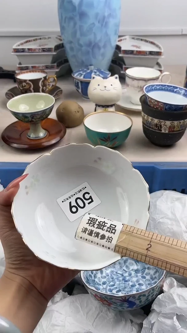 【闪购商品】瓷片509，，，，，，