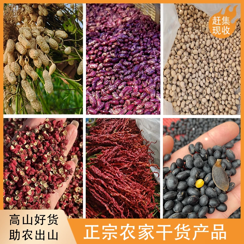 【现称现卖干货】贵州农家干货土特产
